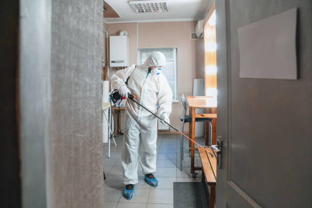 Mold Removal for HVAC Installations in White Cloud, MI